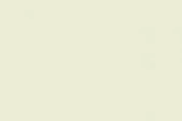 Miradas: Messi se cuida y, a la vez, cuida a la Selección