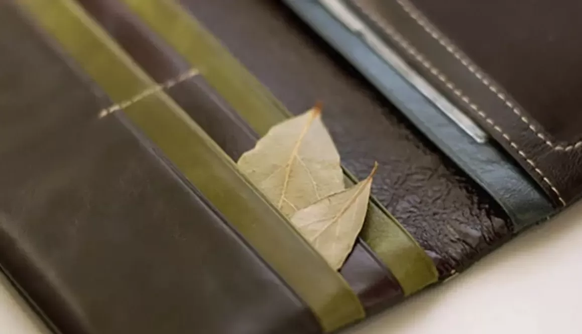 Rituales: para qué sirve guardar una hoja de laurel en la billetera