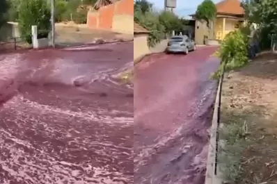 Video: un río de vino tinto se apoderó de las calles de una ciudad de Portugal