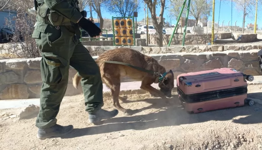 Funcionarios de Seguridad deben respaldar la lucha contra el narcotráfico en Tucumán