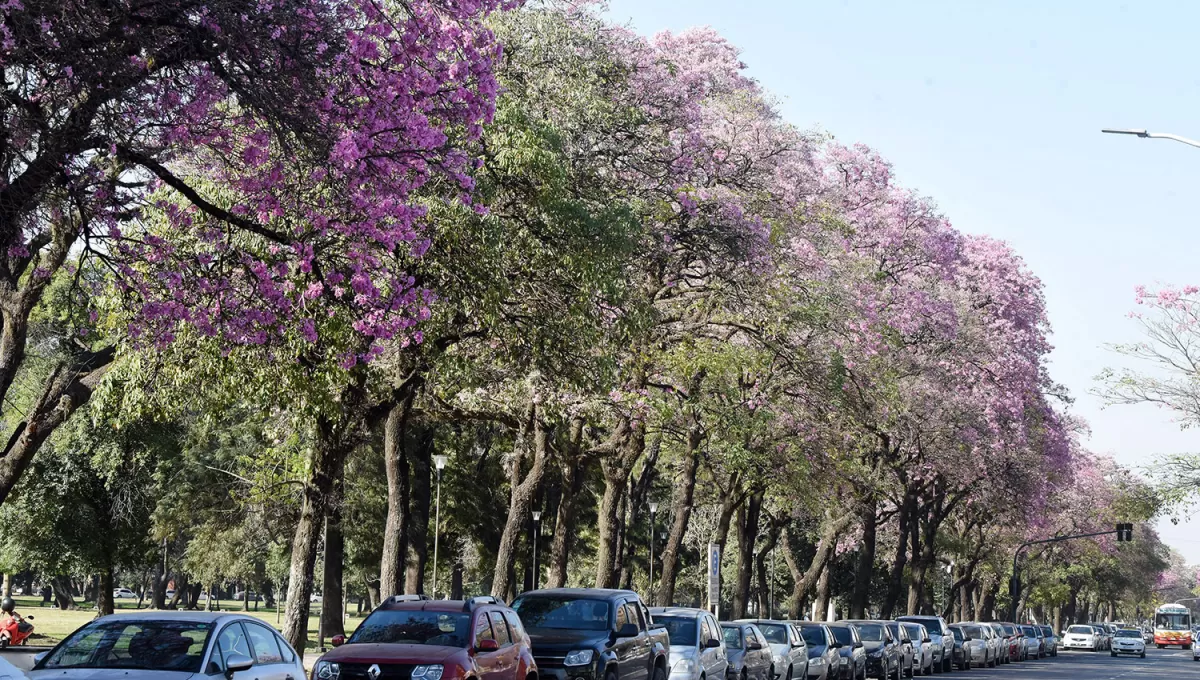 CIELO DESPEJADO. El sol comenzará a ser el protagonista de las jornadas en nuestra provincia. 