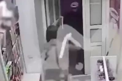 El tamaño importa: entró a robar un sex shop y la vendedora se defendió con un juguete sexual gigante