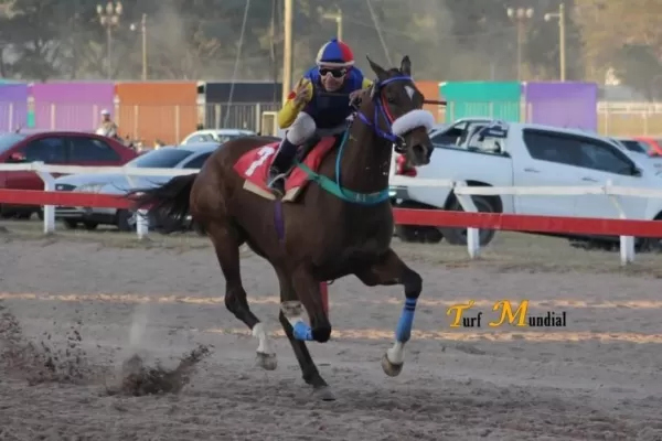 Gran Premio “Batalla de Tucumán”: competirán ejemplares de cinco provincias