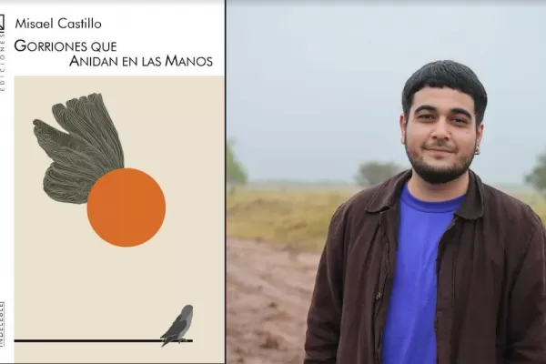 Heridas sobre la mesa: gorriones que anidan en las manos de Misael Castillo