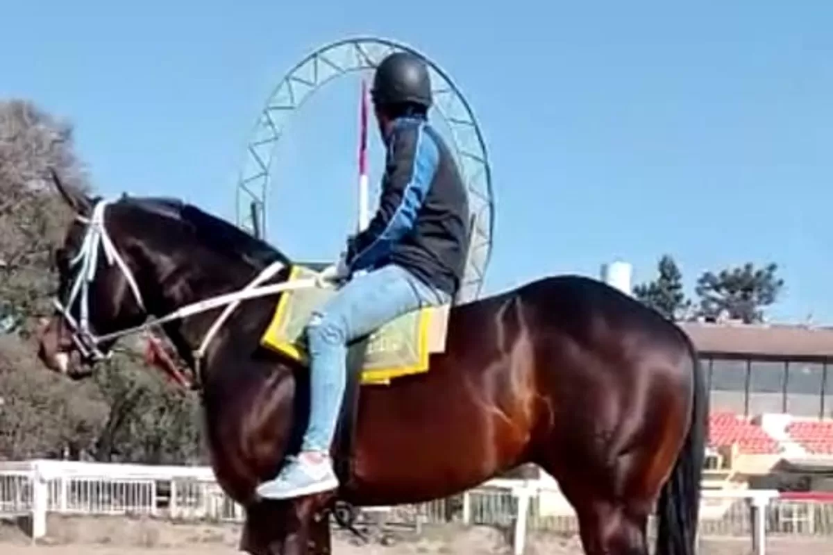 Turf: un festival de cuadreras de primer nivel en el hipódromo