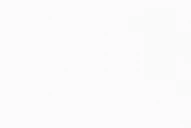 Triquinosis: cuidados al consumir carnes