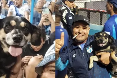 Así vivió la victoria de Atlético “Porquería”, la mascota que despierta furor entre los hinchas
