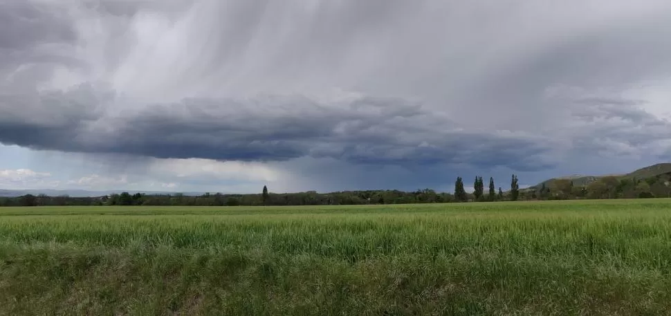 UNA MANO DEL CLIMA. Productores esperan que “el Niño” los beneficie con lluvias que permitan acumular agua.  