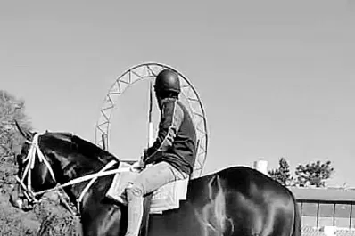 Turf: festival cuadrero de primer nivel