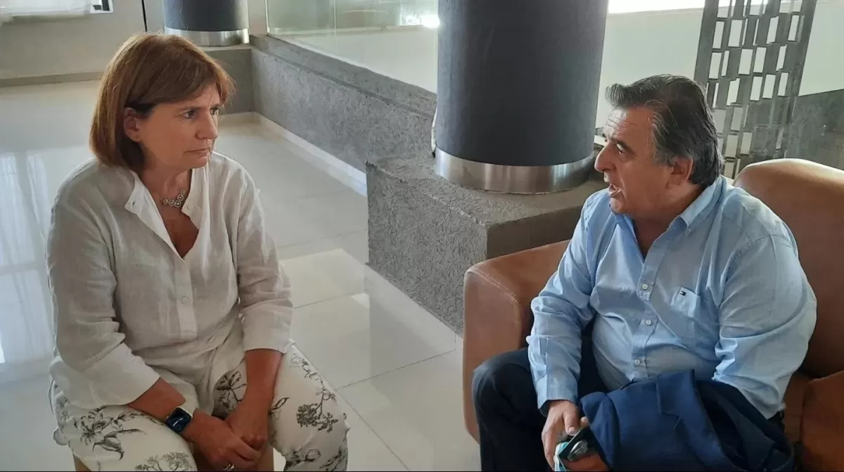 Mario Negri junto a Patricia Bullrich, presidenta del PRO. 