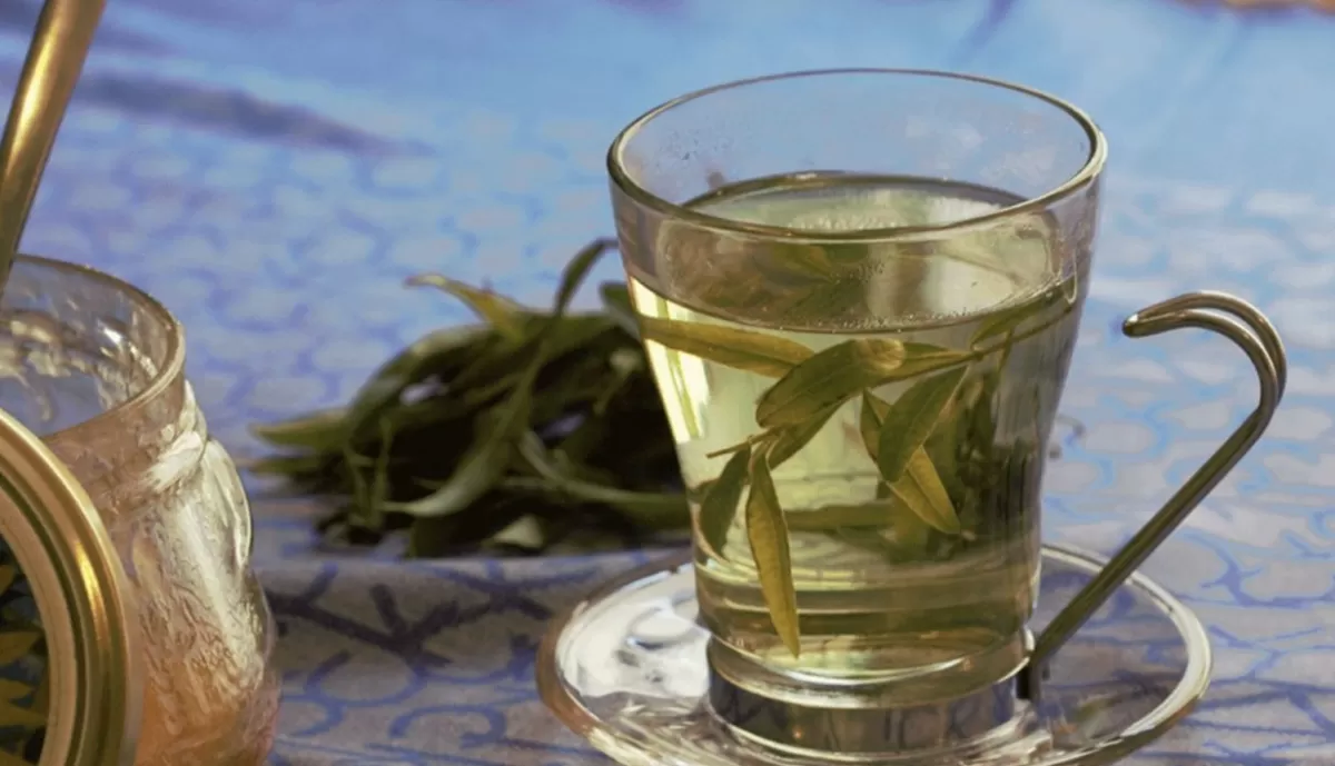 Beneficios del té de cedrón