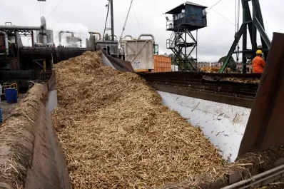 La zafra avanzó 66% y quedaría caña hasta octubre