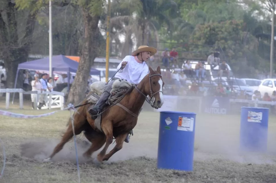 ENTRETENIMIENTO. A lo largo de la Expo Rural hubo demostraciones de destrezas gauchas y exhibiciones con equinos y perros pastores. 