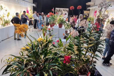 La 20º Exposición de Orquídeas se llevará a cabo este fin de semana en Yerba Buena