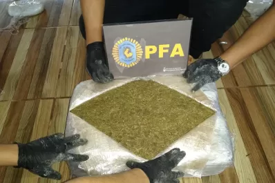 Secuestraron más de 200 kilos de marihuana y detuvieron a un hombre