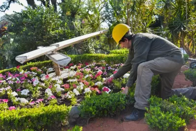 Reloj floral: se renovaron las plantas