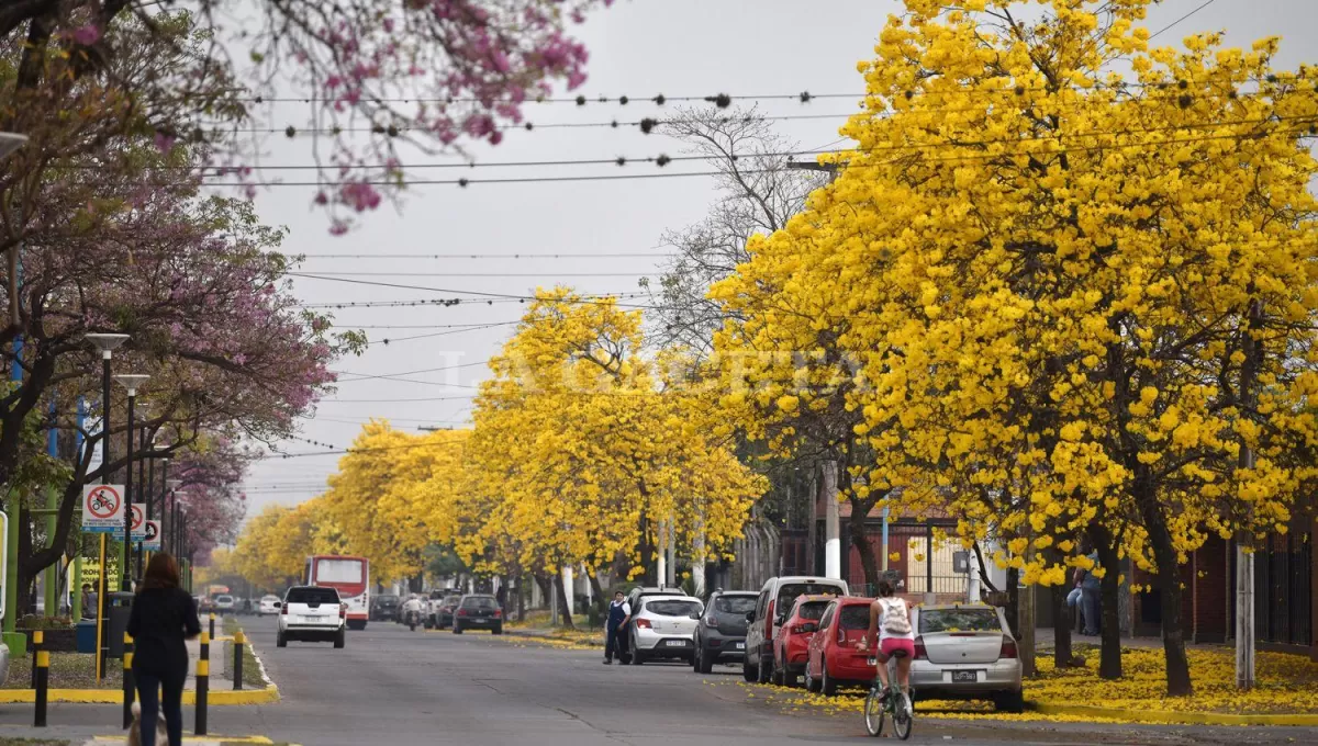 Si bien el clima cálido se anticipó, aún no empezó científicamente la primavera.
