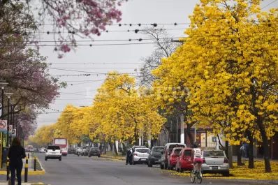 ¿Por qué no empieza hoy la primavera en Argentina?