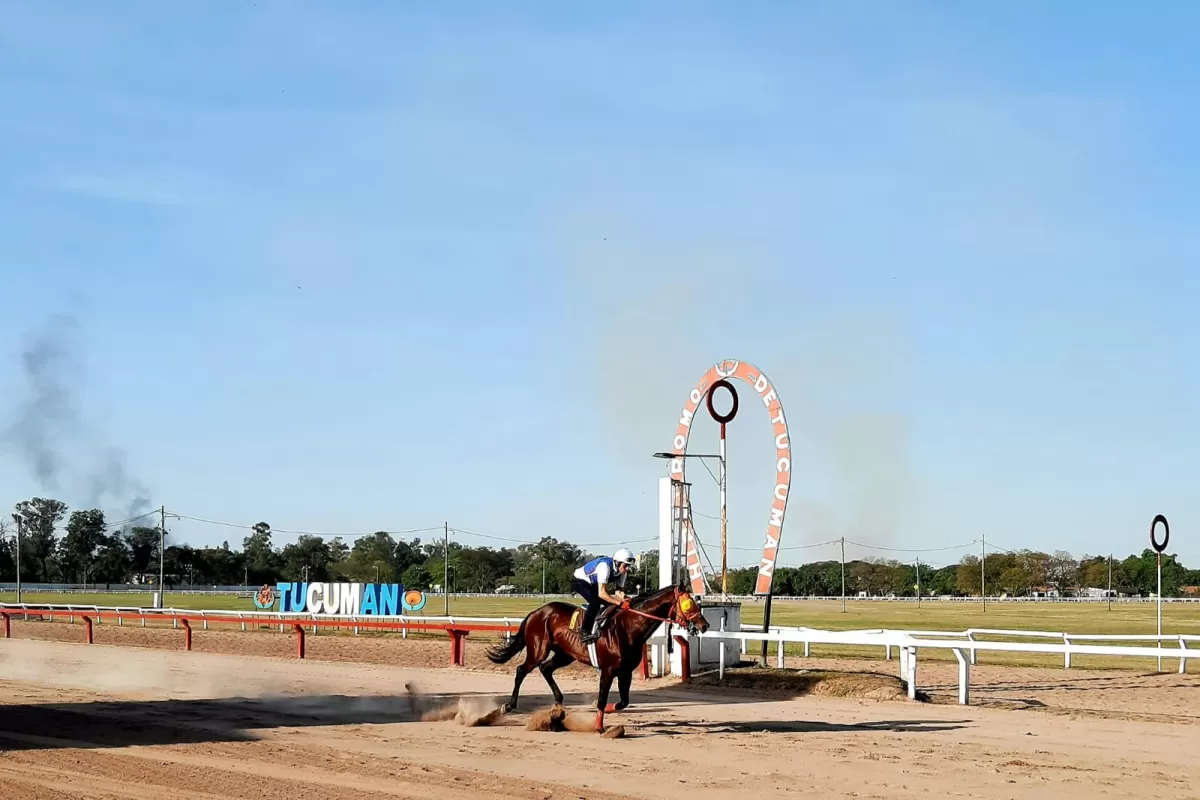 EXPERIMENTADO. El jinete Pedro Chilila Robles, que se encuentra radicado en Santiago de Chile, será el encargado de conducir el tordillo  Súper Cocktail que competirá en los exigentes 2.200 metros del Gran Premio Batalla de Tucumán. LA GACETA /FOTO CARLOS CHIRINO.