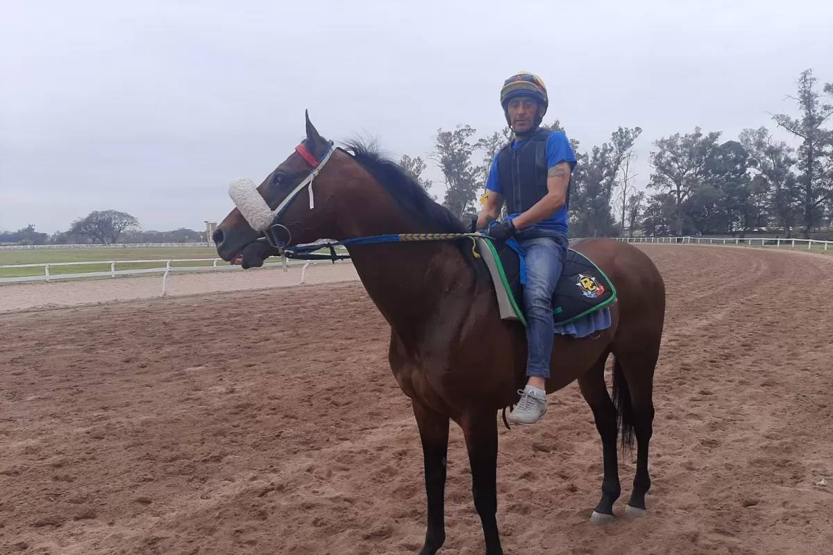 MENDOCINO. Macklin será conducido por Daniel Gómez en el Gran Premio.