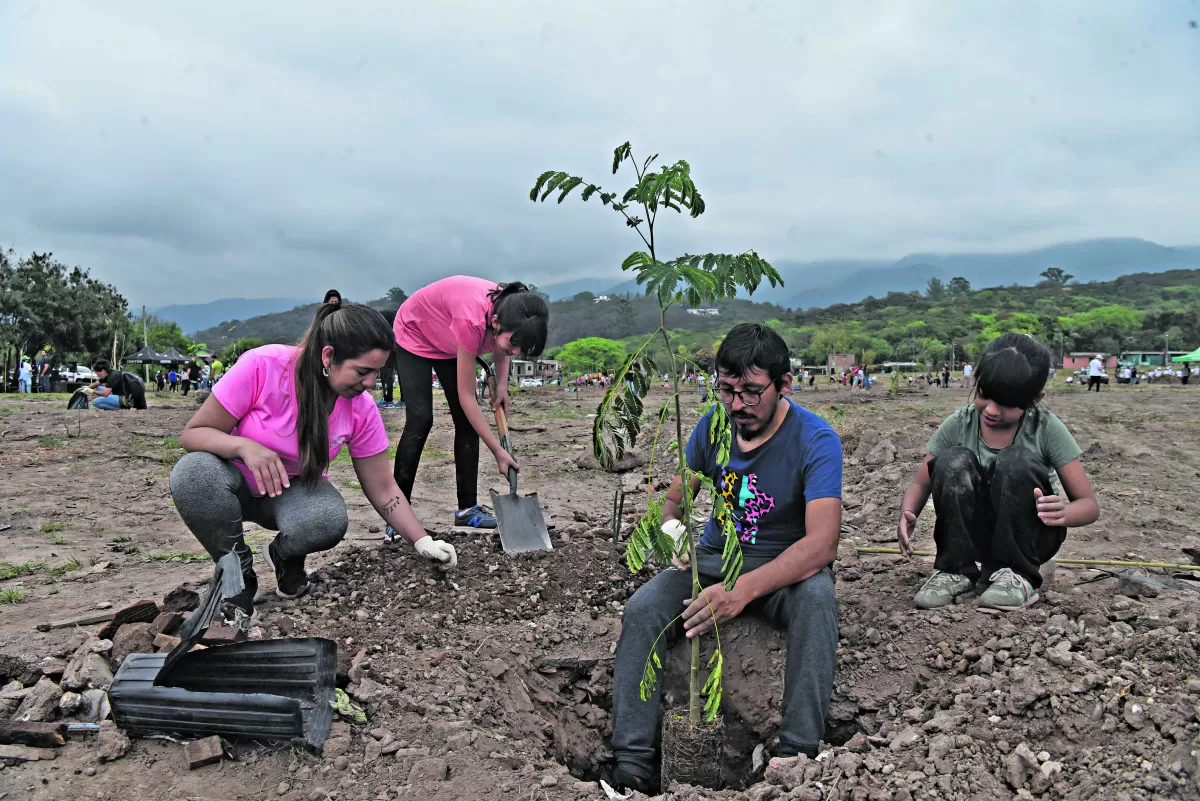 RÁPIDO. Por la cantadidad de voluntarios, la platanción terminó pronto.