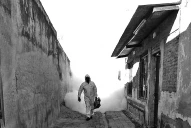 Lucha contra el dengue: cómo puede ayudar la inteligencia artificial