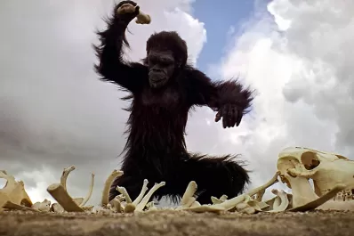 La responsabilidad intermedia