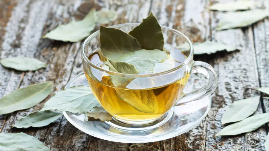 Qué beneficios tiene tomar té de laurel por la noche antes de dormir
