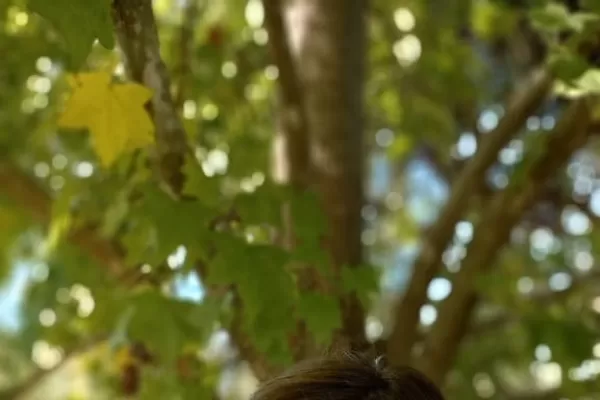 Por qué es bueno que los chicos se suban al árbol