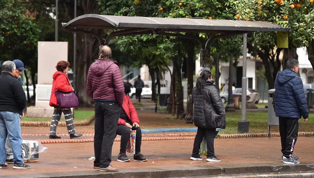 Crisis del transporte: mañana los colectivos circularán con normalidad