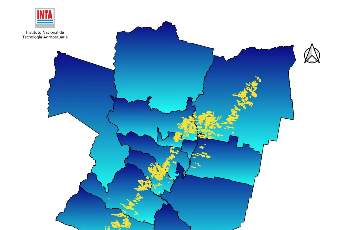 Relevamiento del INTA Famaillá: se redujo la superficie citrícola de Tucumán en 2023