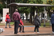 Crisis del transporte: mañana los colectivos circularán con normalidad