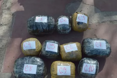 Revisaron el vehículo y hallaron tres encomiendas con 31 kilos de marihuana