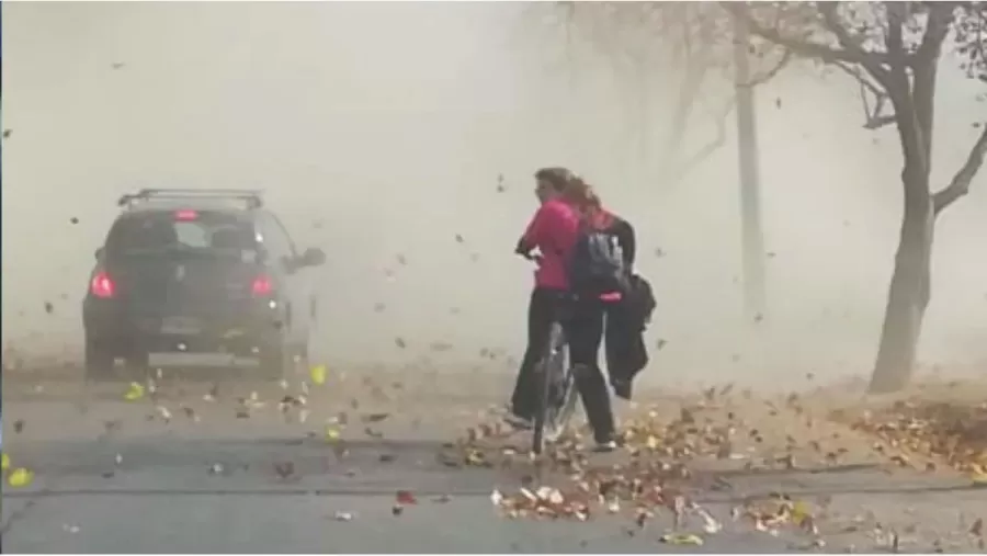 Alerta meteorológic: en 12 provincias por vientos fuertes 