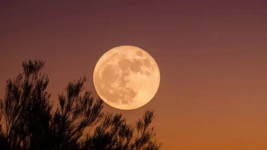 Hoy es Luna llena en Aries
