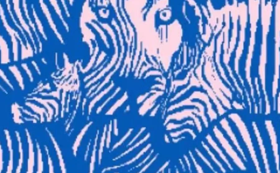 ¿Cebra o león? El test visual que define cómo te gusta disfrutar de tu tiempo libre