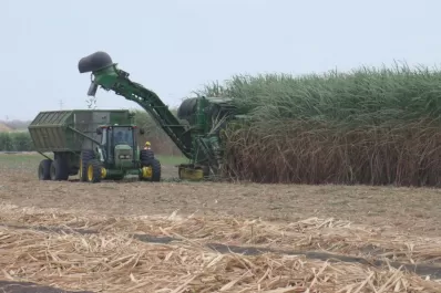 Hubo una mejor maduración en el área cañera de Tucumán con el avance de la zafra 2023