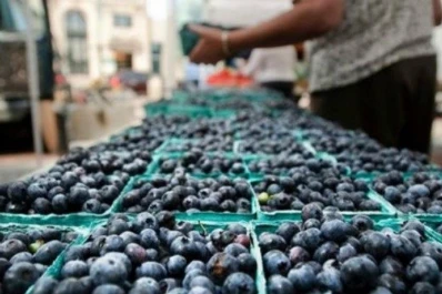 Economías regionales: es ley el régimen de producción orgánica