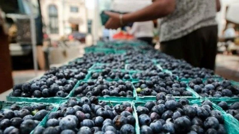 ¿A QUIENES BENEFICIA? Productores deben acreditar un año de permanencia.