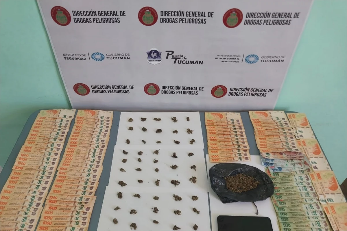 Narcomenudeo: detenido con flores de marihuana