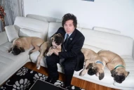 Milei, una denuncia a JxC, la tenencia de sus perros y el insólito motivo por el que adelantó su mudanza