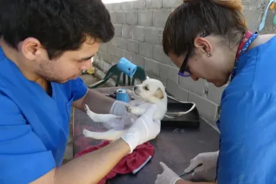 Alfaro vetó la ordenanza para la creación del Centro Municipal de Salud Animal