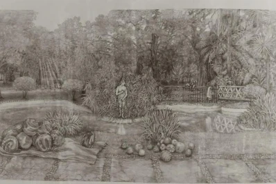 Galardón para un dibujo de la tucumana Rosalba Mirabella