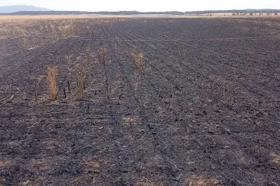 La inseguridad en el campo se incrementó en los últimos años