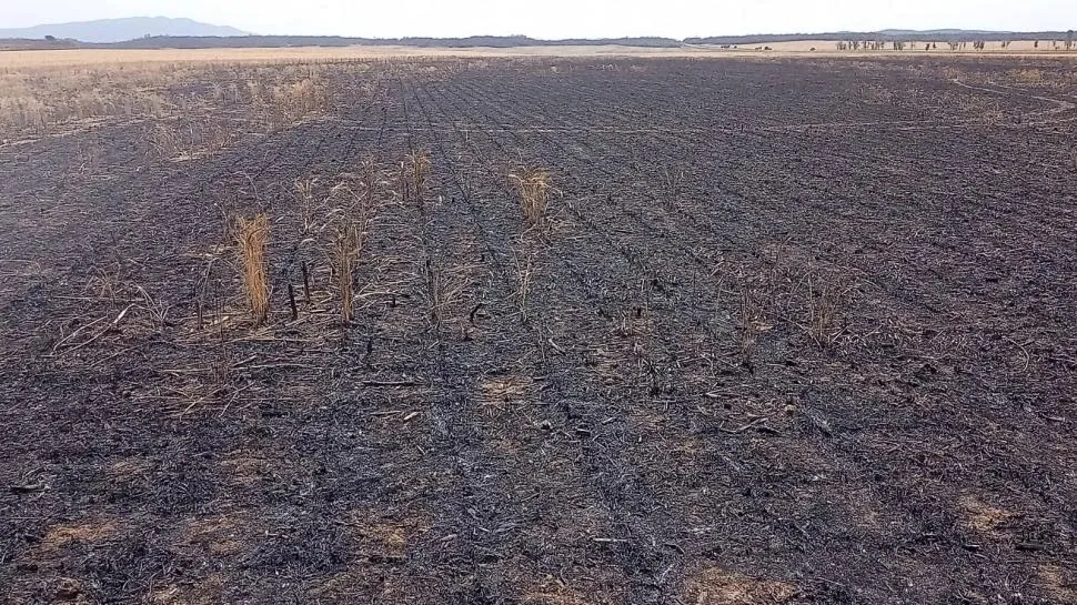 La inseguridad en el campo se incrementó en los últimos años