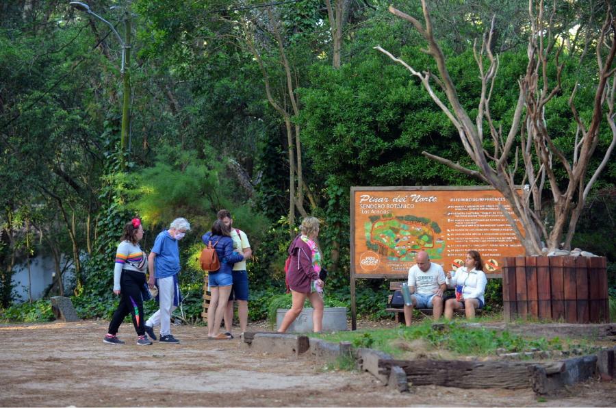 Los bosques de Villa Gesell.