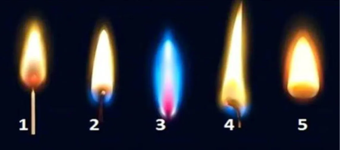 Test de personalidad: elegí una llama y descubrí cuál es el mayor temor que escondes.