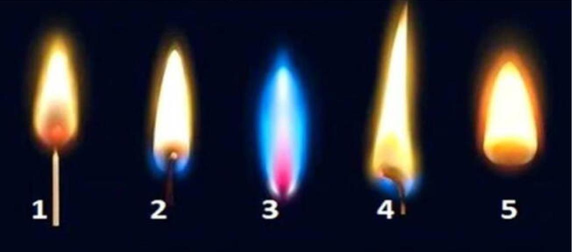 Test de personalidad: elegí una llama y descubrí cuál es el mayor temor que escondes.