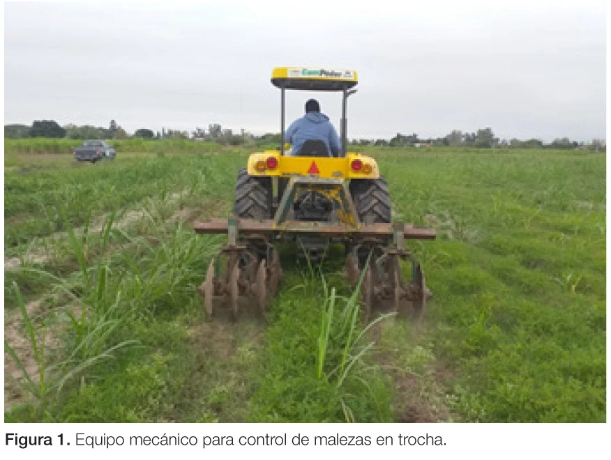 Medios químicos y no químicos para combatir las malezas