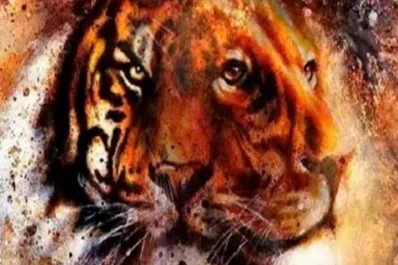 Test viral: el primer gato que veas revela los rasgos de tu personalidad ocultos